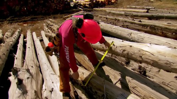Timber Kings - Make a Mark