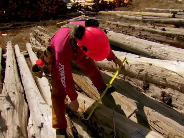 Timber Kings - Make a Mark