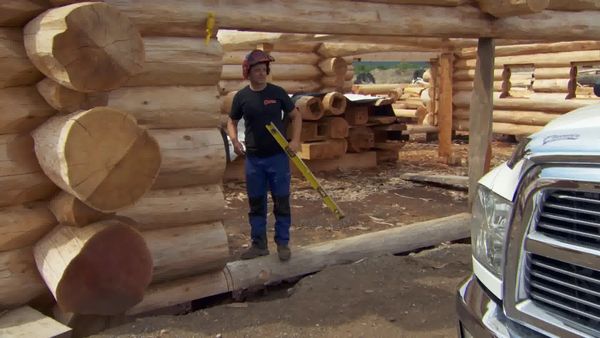 Timber Kings - Cowboy Confidential