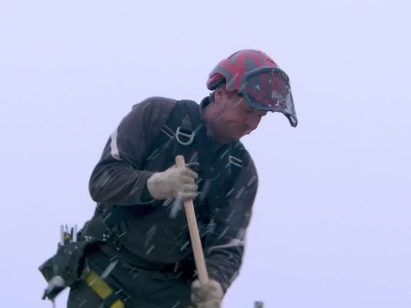 Timber Kings - Weather or Not