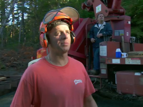 Timber Kings - Log Building for Dummies