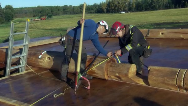 Timber Kings - Living the Dream