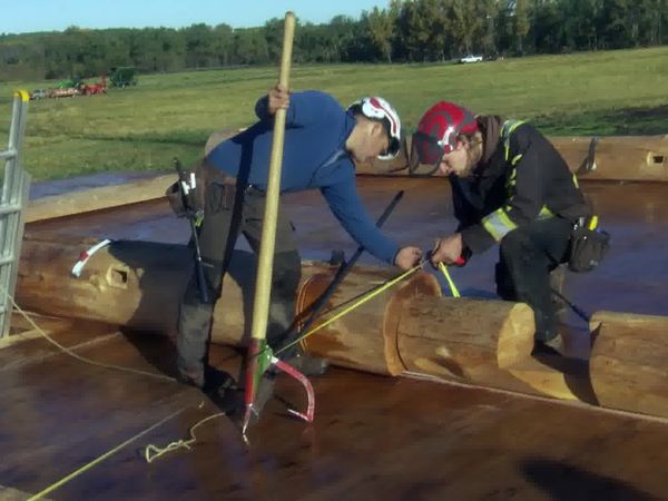 Timber Kings - Living the Dream