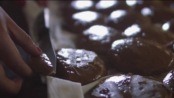 Lo que comemos las mujeres - Rata de campo