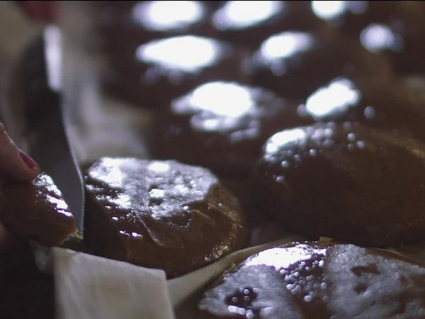 Lo que comemos las mujeres - Rata de campo