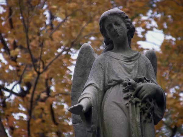 TOP 10 Secrets and Mysteries BR - Atividades paranormais