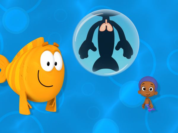 Bubble Guppies - Swimtastic Check-Up!