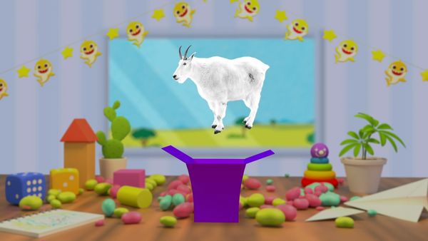 Aprenda Cores com o Bebê Tubarão - Bebê Tubarão Caixa Surpresa 2