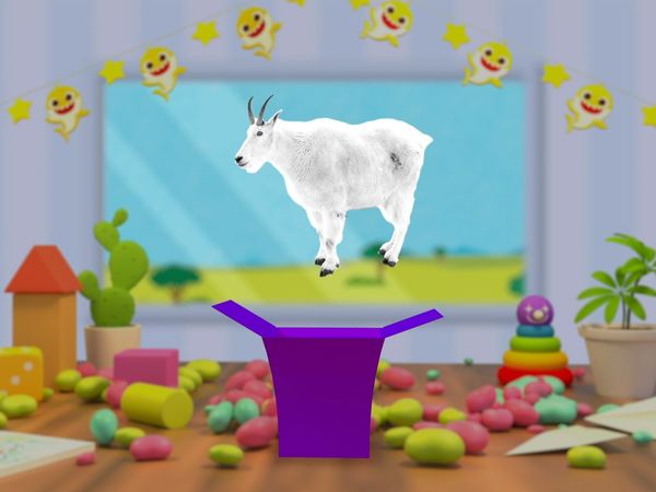 Aprenda Cores com o Bebê Tubarão - Bebê Tubarão Caixa Surpresa 2