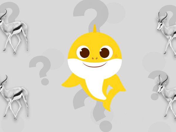 Aprenda Cores com o Bebê Tubarão - Bebê Tubarão Caixa Surpresa 3