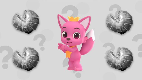 Aprenda Cores com o Pinkfong - Pinkfong Caixa Surpresa 1