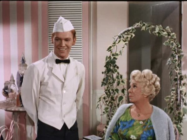 Petticoat Junction - Kate's Day in Court