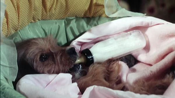 Petticoat Junction - Granny, the Baby Expert