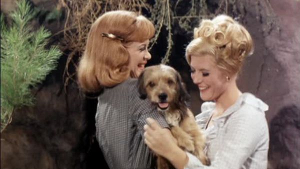 Petticoat Junction - Higgins Come Home