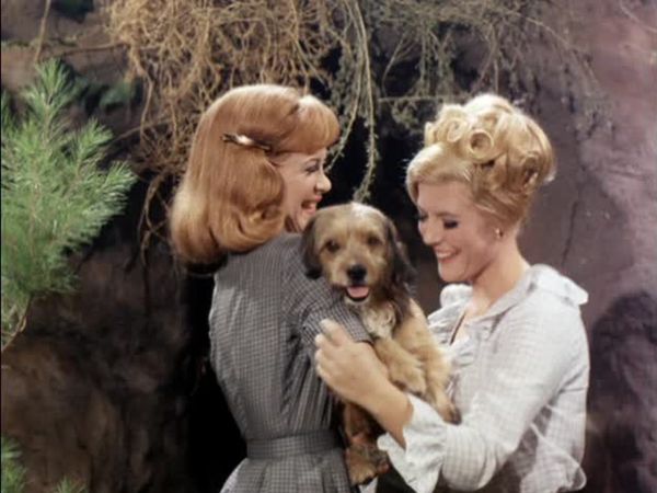 Petticoat Junction - Higgins Come Home