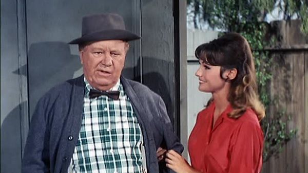 Petticoat Junction - The Sneaky Ways of a Woman Who is Both Beautiful and Smart