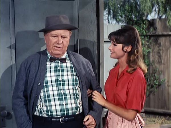 Petticoat Junction - The Sneaky Ways of a Woman Who is Both Beautiful and Smart