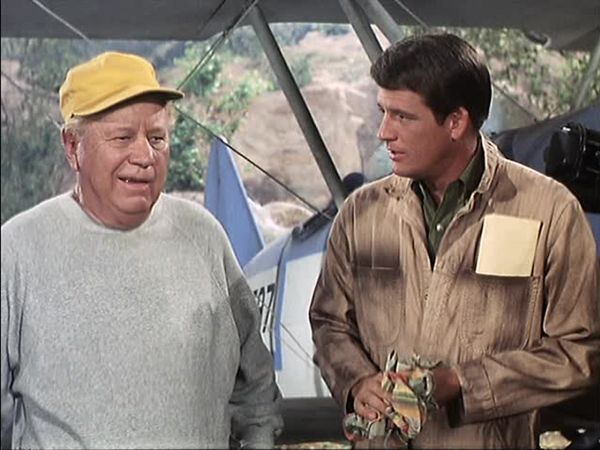 Petticoat Junction - By the Book