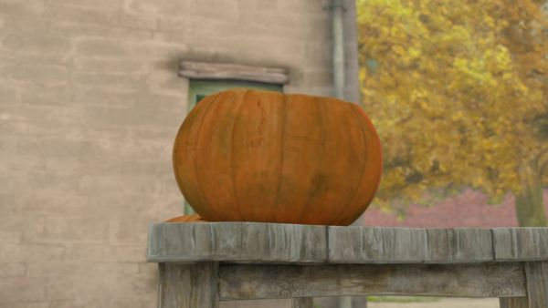 Peter Rabbit LT - El cuento de la calabaza gigante / El cuento del conejo malvado
