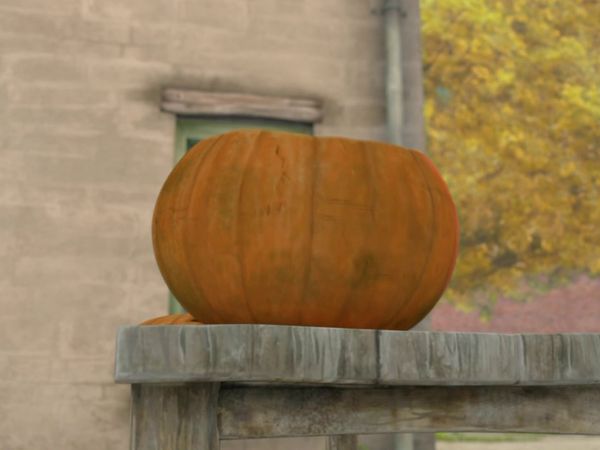 Peter Rabbit LT - El cuento de la calabaza gigante / El cuento del conejo malvado