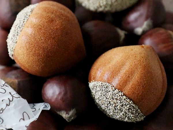J'adore's Dessert - Madeleine e Financier