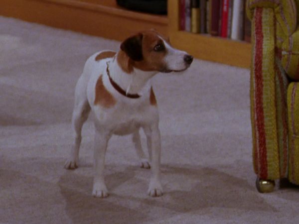 Frasier - Some Assembly Required