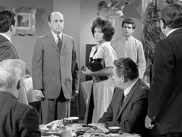 Perry Mason - The Case of the Baffling Bug