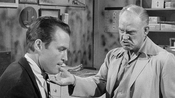 Perry Mason - The Case of the Positive Negative