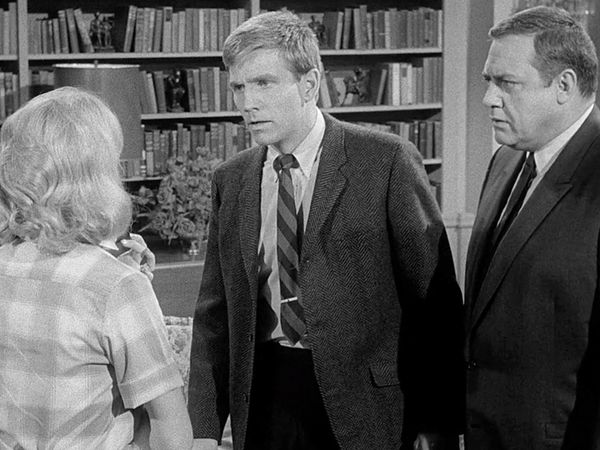 Perry Mason - The Case of the Crafty Kidnapper