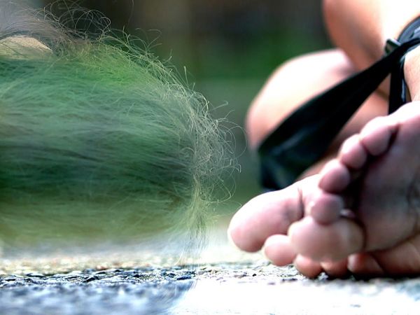 Crime Scene Solvers - Victims of a Sadist - Cyril Koskinas Case