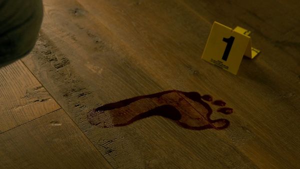Crime Scene Solvers - In Search of SK1 - Akira Ojima Case