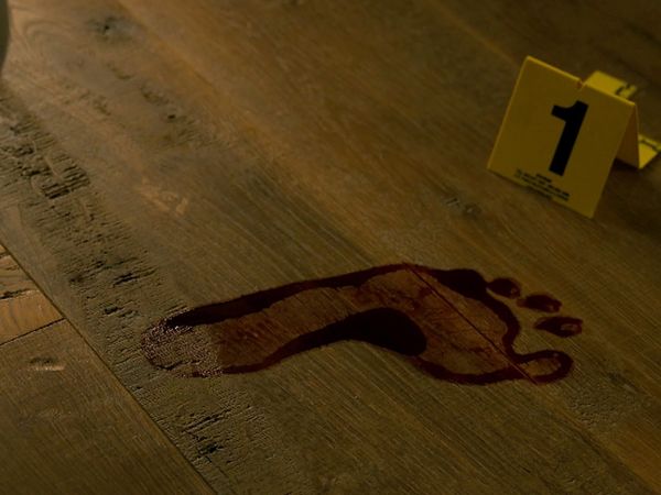Crime Scene Solvers - In Search of SK1 - Akira Ojima Case