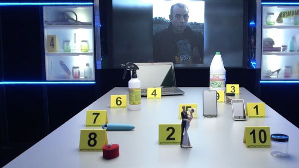 Crime Scene Solvers - Françoise Desnoue Case