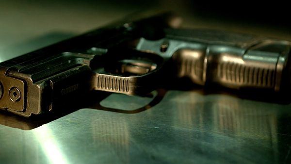 Crime Scene Solvers - Triple Murders in Vise