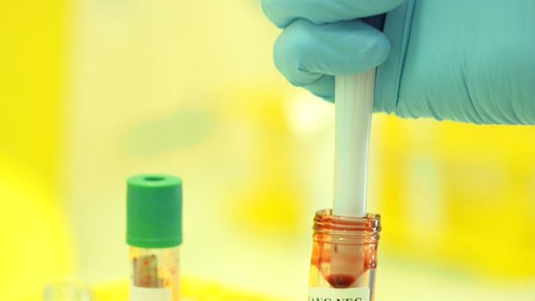 Crime Scene Solvers - Julein Thevenet Case