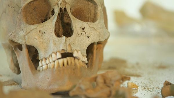 Crime Scene Solvers - A Corpse In The Cemetery: The Frederic Butanowicz Case