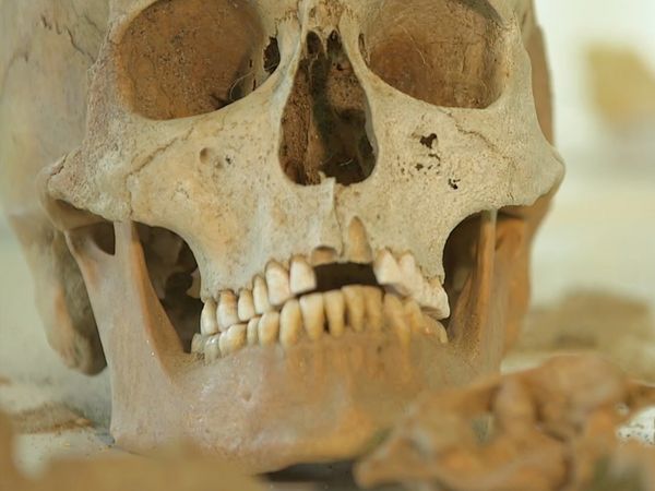 Crime Scene Solvers - A Corpse In The Cemetery: The Frederic Butanowicz Case