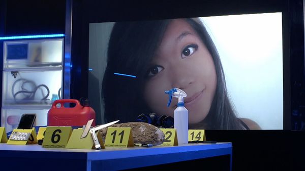 Crime Scene Solvers - The Shadow of A Serial Killer: The Sophie Le Tan Case