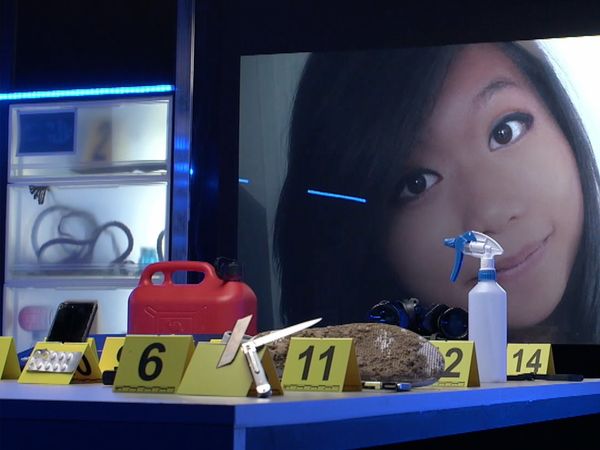 Crime Scene Solvers - The Shadow of A Serial Killer: The Sophie Le Tan Case