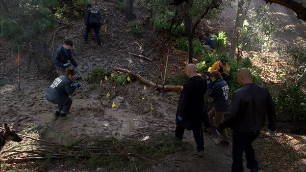 Criminal Minds - Cold Comfort