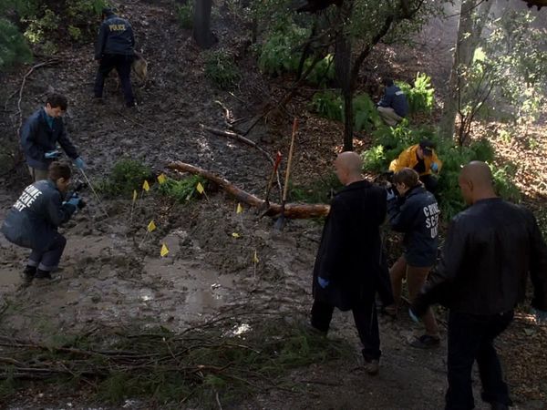 Criminal Minds - Cold Comfort