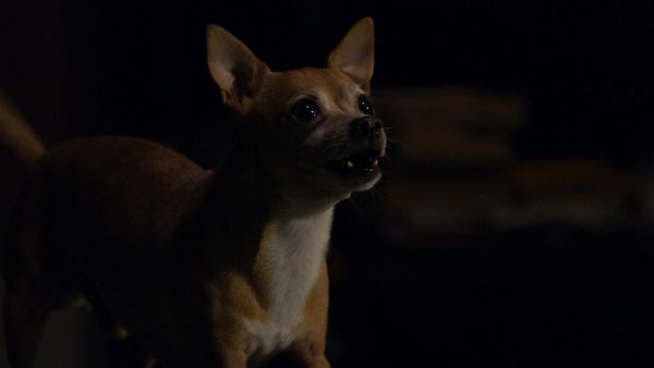 Criminal Minds - Corazon