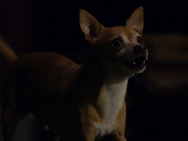 Criminal Minds - Corazon