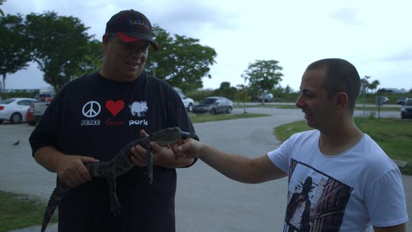 Rebelde Sin Cocina - Later Alligator