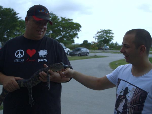 Rebelde Sin Cocina - Later Alligator