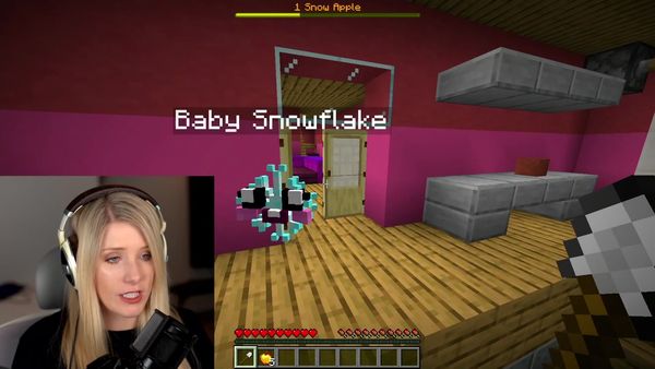 Brianna Playz - Ways to Prank Preston as a Baby in Minecraft