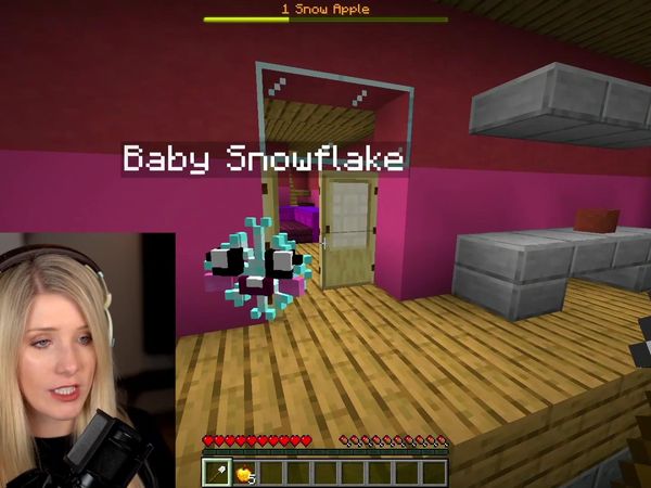 Brianna Playz - Ways to Prank Preston as a Baby in Minecraft