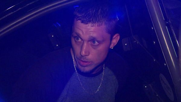 Cops en español - Criaturas terroríficas