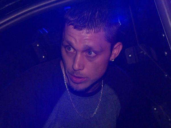 Cops en español - Criaturas terroríficas