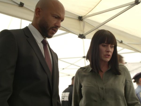 Criminal Minds - Twenty Seven